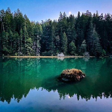 Mendocino Redwood Retreat - Vista Home Albion Экстерьер фото