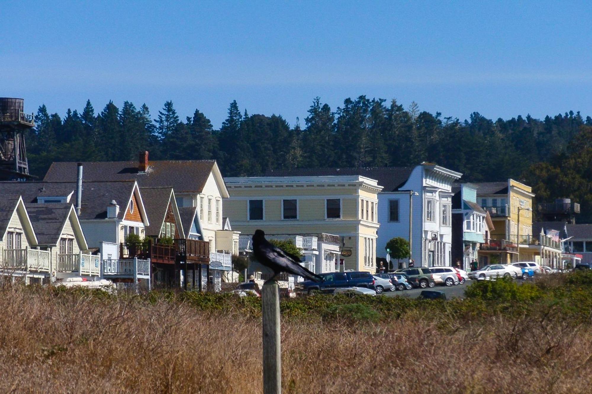 Mendocino Redwood Retreat - Vista Home Albion Экстерьер фото