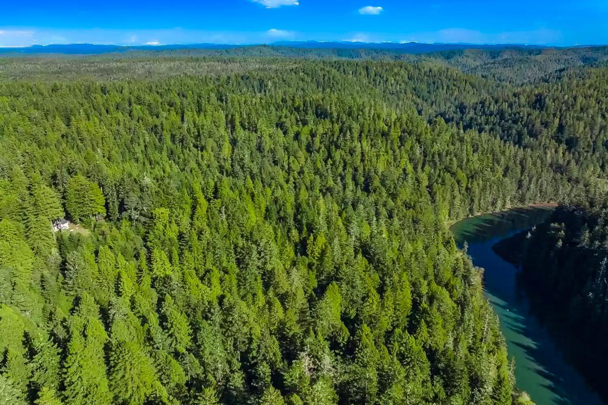Mendocino Redwood Retreat - Vista Home Albion Экстерьер фото