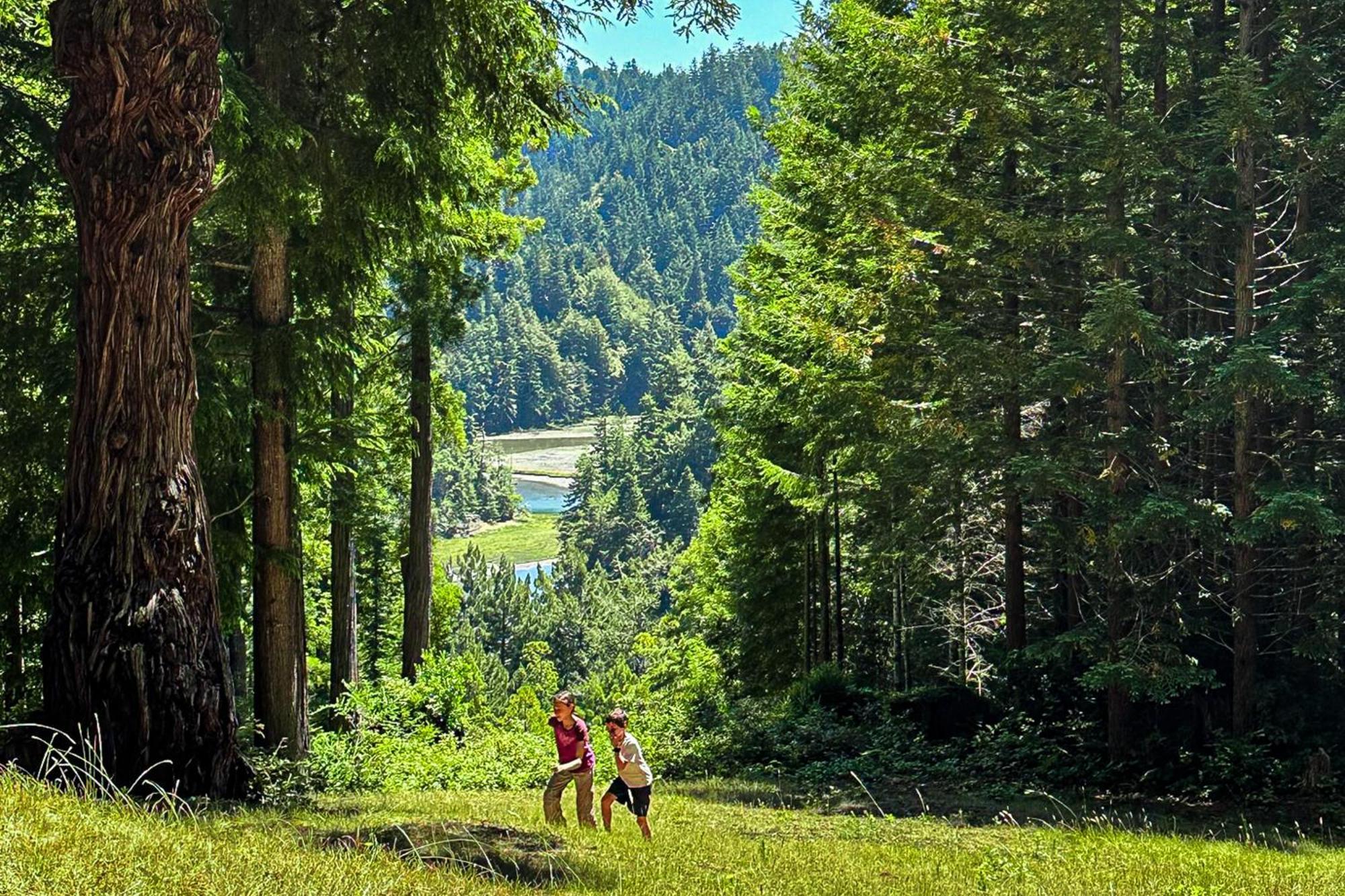 Mendocino Redwood Retreat - Vista Home Albion Экстерьер фото