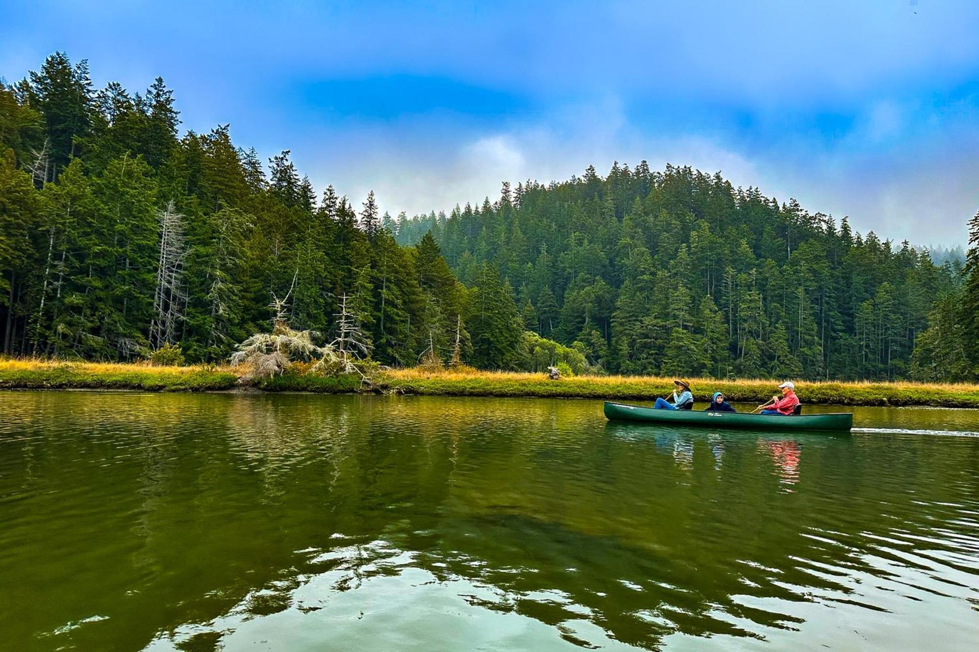 Mendocino Redwood Retreat - Vista Home Albion Экстерьер фото